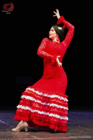 Фотография Flamenco vivo 0
